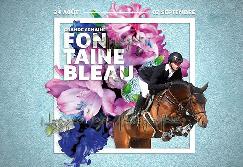 Fontainebleau 2012 SHF