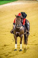 20150814_EKL_0179