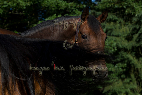 20100820_Y5G_0025