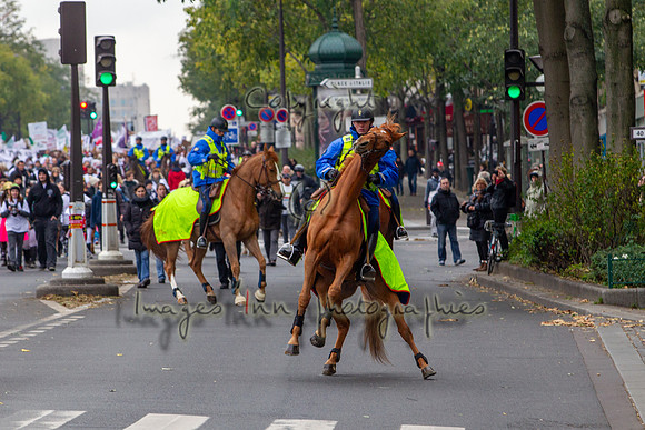 20131124_EKL_0045