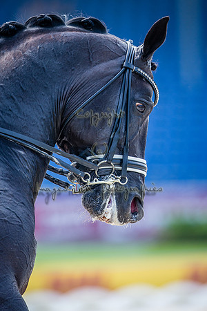 20150813_EKL_0250