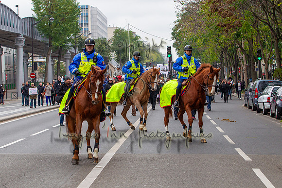 20131124_EKL_0048