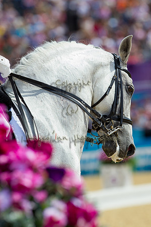 20120803_EKL_0342