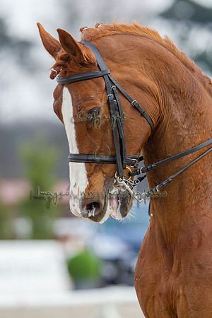 20130407_EKL_0097